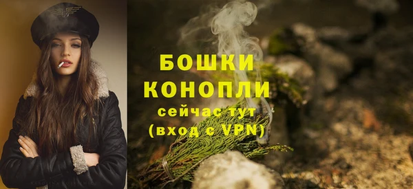 PSILOCYBIN Струнино