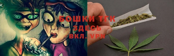 индика Липки