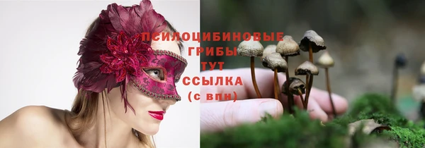 дживик Остров