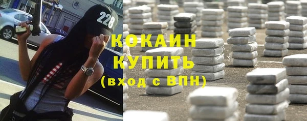 индика Липки