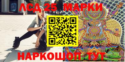 гидра Моздок
