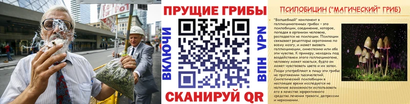что такое   Шебекино  Галлюциногенные грибы Psilocybine cubensis 