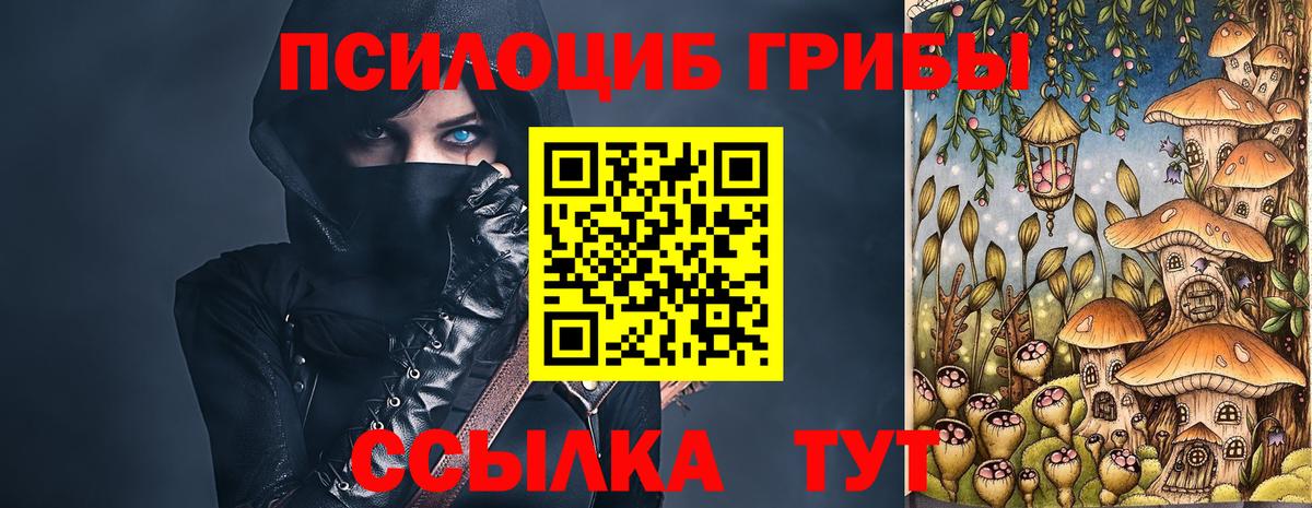 Псилоцибиновые грибы Psilocybe Шебекино